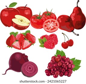 Vector de frutas y verduras rojas 2