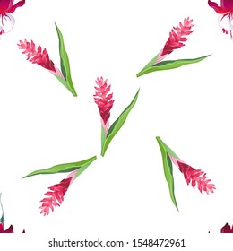 Red Fuchsia. Red and Pink Ginger. Vector illustration. Seamless background pattern. Floral botanical flower. Wild leaf wildflower isolated. Exotic tropical hawaiian jungle. Fabric wallpaper print.