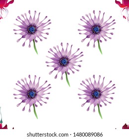 Red Fuchsia. Purple Osteospermum Daisybush. Vector illustration. Seamless background pattern. Floral botanical flower. Wild leaf wildflower isolated. Exotic tropical hawaiian jungle. Fabric.