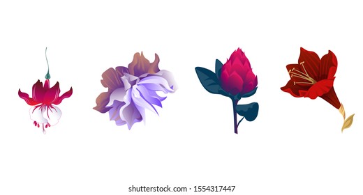 Red Fuchsia. Violet Clematis. Red Vriesea. Purple Amaryllis. Vector illustration. Isolated illustration element. Floral botanical flower. Wild leaf wildflower isolated. Exotic tropical hawaiian.