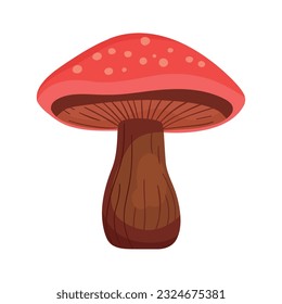 red fungus illustration vector over white