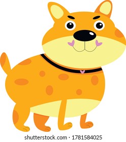 
red funny and fat dog