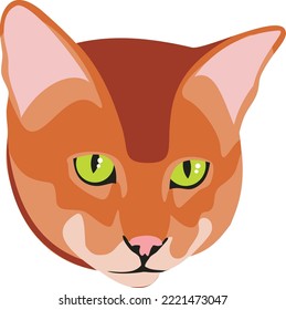 Red fur cat face. Pet portrait icon