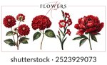 Red garden flowers isolated on a white background. Vintage painting style illustration.