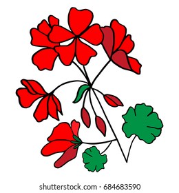 Red geranium flower. Hand drawn illustration vector on white background.