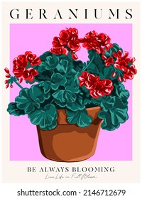 Red geranium flower in terracotta pot on pink background vector illustration poster design.