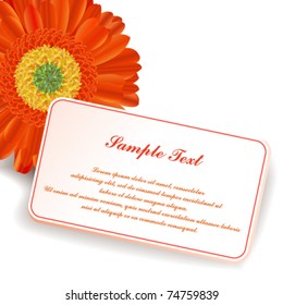 red gerber and a card with place under the text