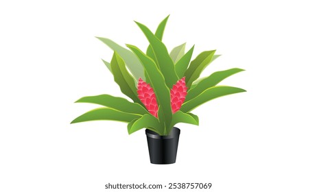 Flor de jengibre rojo con hojas verdes – Diseño de Vector. Breve descripción: Este diseño de Vector de flor de jengibre rojo, acentuado por exuberantes hojas verdes, captura maravillosamente la elegancia 