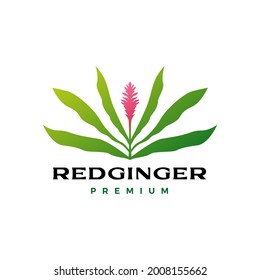 red ginger flower tree logo vector icon illustration