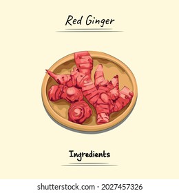 Red Ginger Illustration Sketch And Vector Style. Good to use for restaurant menu, Food recipe book and food ingredients content.