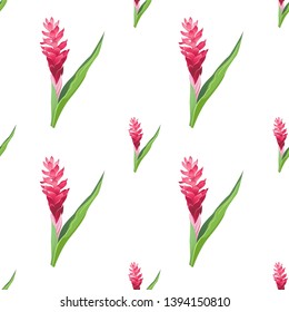 Red ginger pink. Vector illustration. Floral botanical flower. Wild leaf wildflower isolated. Exotic tropical hawaiian jungle. Seamless background pattern. Fabric wallpaper print texture.