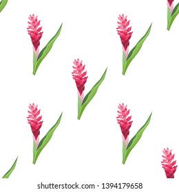 Red ginger pink. Vector illustration. Floral botanical flower. Wild leaf wildflower isolated. Exotic tropical hawaiian jungle. Seamless background pattern. Fabric wallpaper print texture.