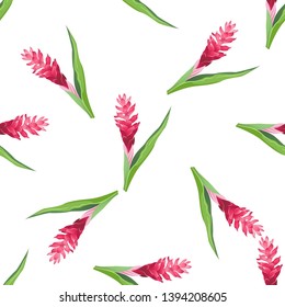 Red ginger pink. Vector illustration. Floral botanical flower. Wild leaf wildflower isolated. Exotic tropical hawaiian jungle. Seamless background pattern. Fabric wallpaper print texture.