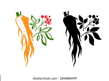 Red ginseng emblem.  Traditional chinese golden root. Isolated vector illustration. Colorful and black silhouettes.