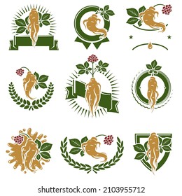Red ginseng label and icon set. Collection icon red ginseng. Vector