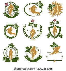 Red Ginseng Label und Icon Set. Kollektionssymbol rot Ginseng. Vektorgrafik