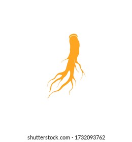 Gingseng rojo. Raíz de Ginseng sobre fondo blanco.