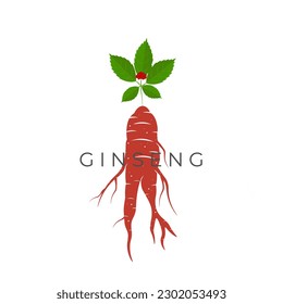 Red Ginseng Root Vector Illustration Logo