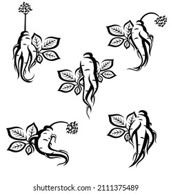 Red ginseng set. Collection icon red ginseng. Vector