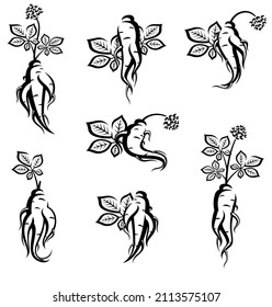 Red ginseng set. Collection icon red ginseng. Vector