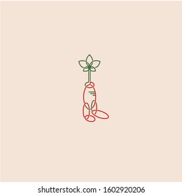 red ginseng vector lines