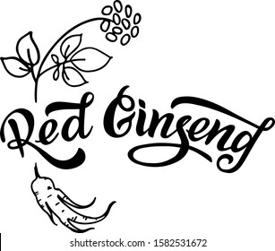 Red  ginseng - Vector text, logo for your products, shop, business cards, flyers, prints and banners. Vector illustration isolated on white background. EPS 10