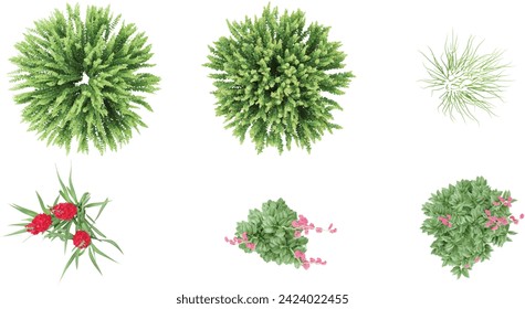 red gladiolus,Love-Lies-Bleeding flower plants,Grass in the forest, top view, area view, isolated on transparent background, 3D illustration, cg render