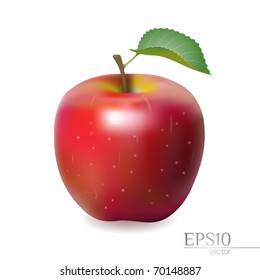 Red glossy apple with leaf on a white background