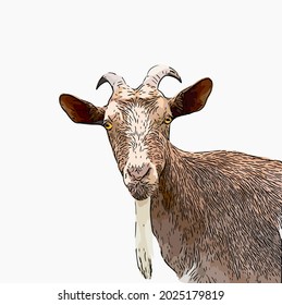 Red goat head with horns single isolated on white 