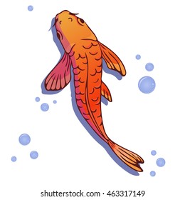 Red and Gold Carp Koi Fish Vector Illustration