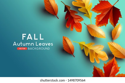 Red and golden coloured Autumn leaves on a blue background. Vector illustration.