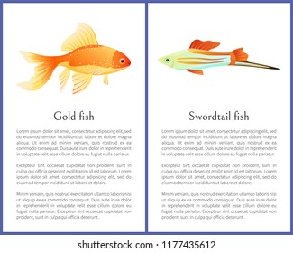 Red goldfish and colorful swordtail fish isolated on white. Freshwater aquarium fish icons on blank background in cartoon style vector illustration