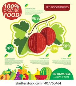 Red gooseberries. Infographic template. vector illustration.