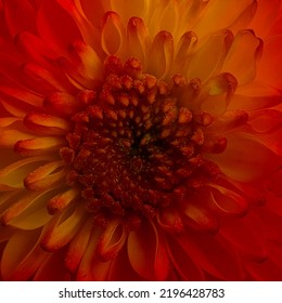 red gradient abstract background chrysanthemum flower pattern