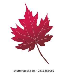 Red gradient autumn maple leaf with grainy texture on white background