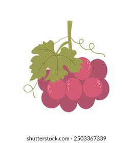 Red grape bunch. Grape crown with leaves. Isolated vine fruit on white background. Vector illustration, hand drawn, flat style.