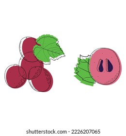 Red Grape fruit. Abstract modern set of red grape icons, whole and sliced, grape leaf. For web, print, product design, grape logo. Doddle, line, contour. Vector hand drawn flat illustration.