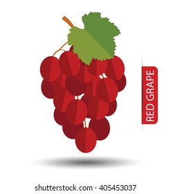 Red grape, fruit vector illustration.