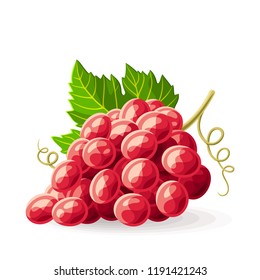 Red grape with a leaf on white. Vector illustration. No gradients