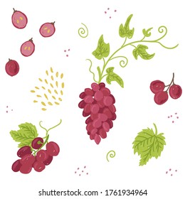 Red grape pattern set. Bunch of grapes, seeds, leaves, grape berry, vine vector illustration collection isolated on white background