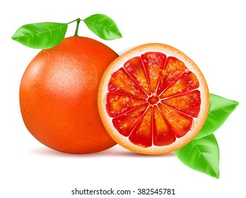 Red grapefruit slice with leaf isolated on white background.  Vector illustration.