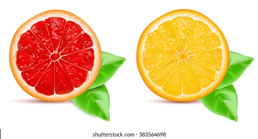 Red grapefruit slice and orange slice with leaf isolated on white background.  Vector illustration.