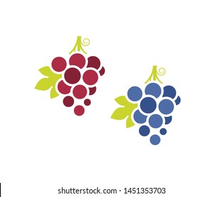 Red grapes and blue grapes. Icon set. Fresh fruit with leaves on white background. Sweet food vector. Vintage style