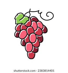 red grapes bunch color icon vector. red grapes bunch sign. isolated symbol illustration