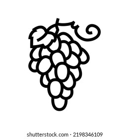 red grapes bunch line icon vector. red grapes bunch sign. isolated contour symbol black illustration