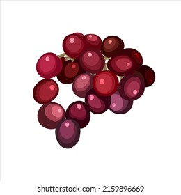 red grapes cartoon, flat vector illustration isolated from background.