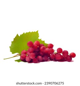 Red grapes. Fresh, nutritious, tasty grapes. A delicious and healthy dessert. Elements for label design. Fruit ingredients in mesh technique. Vector illustration.