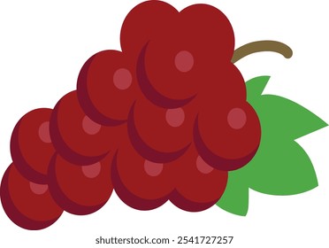 Red Grapes Fruits Clip Art Vector Design on White Background
