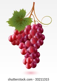 Red grapes with green leaf on a white background