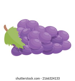 Red grapes icon cartoon vector. Taste summer. Holding woman